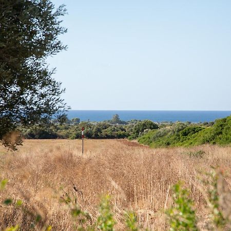Masseria Scaledda Manduria Εξωτερικό φωτογραφία