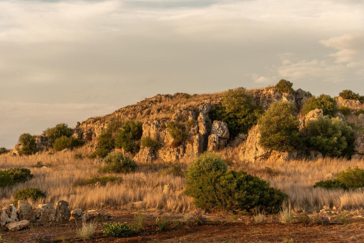 Masseria Scaledda Manduria Εξωτερικό φωτογραφία