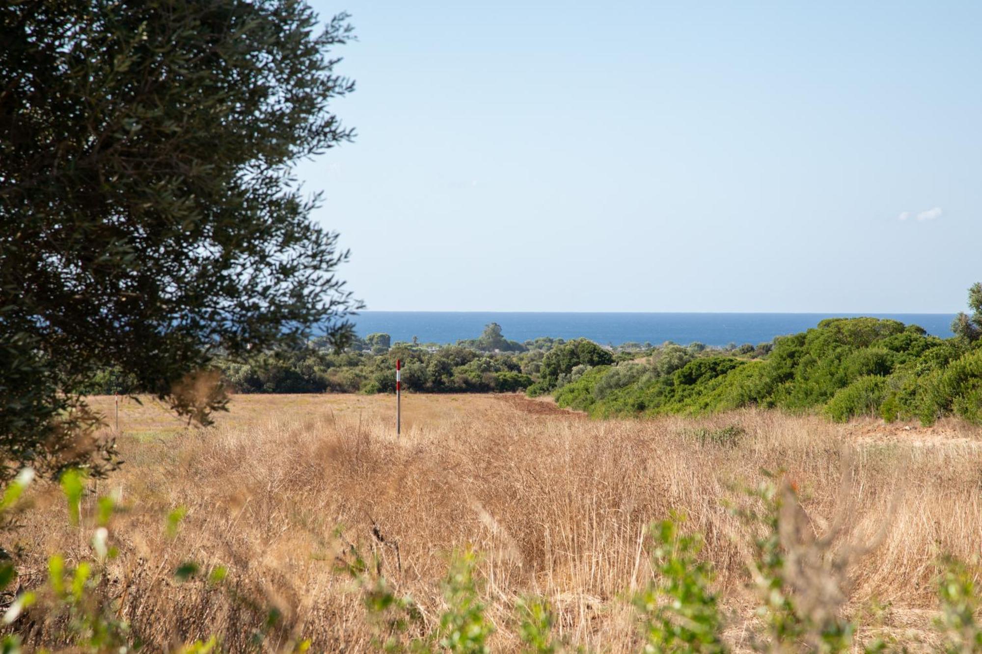 Masseria Scaledda Manduria Εξωτερικό φωτογραφία